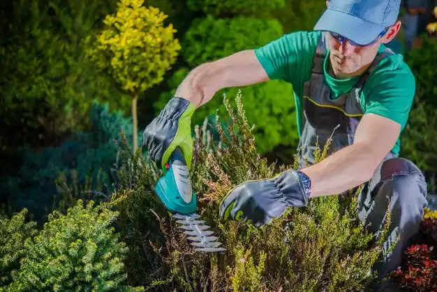 landscaping services Methuen Town